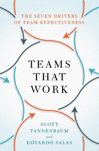 Teams That Work: The Seven Drivers of Team Effectiveness
