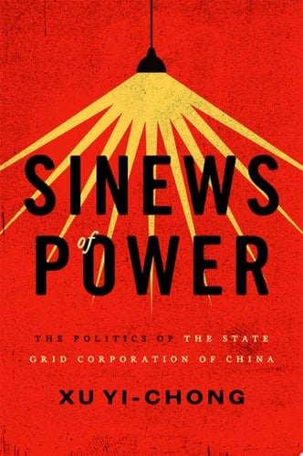Sinews of Power: The Politics of the State Grid Corporation of China