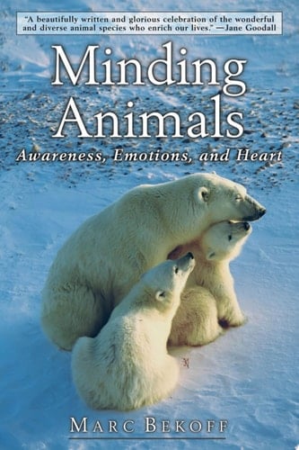 Minding Animals: Awareness, Emotions, and Heart