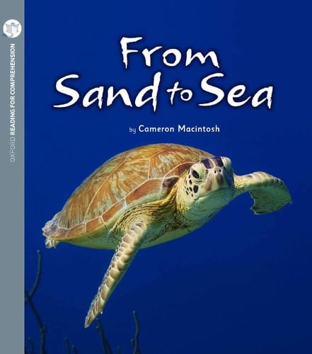 From Sand to Sea (Pack of 6 with Comprehension Card)