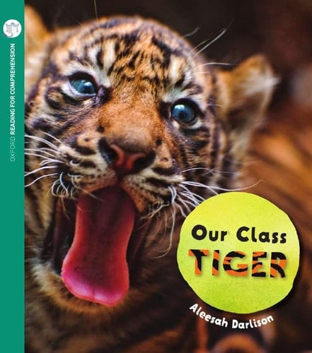 Our Class Tiger (Pack of 6 with Comprehension Coaching Card)