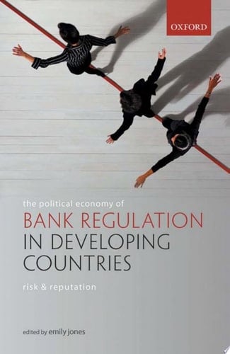 The Political Economy Of Bank Regulation In Developing Countries: Risk And Reputation
