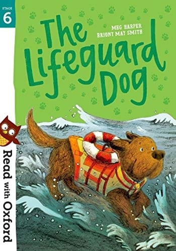 Stage 6: The Lifeguard Dog
