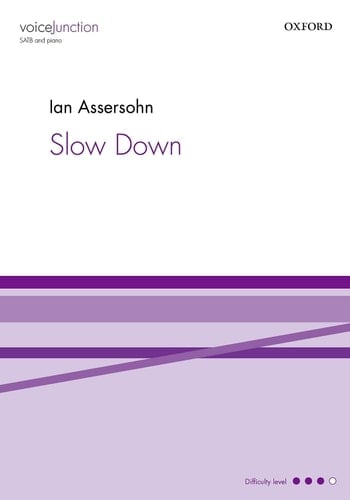 Slow Down (Voice Junction)