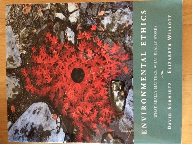 Environmental Ethics: What Really Matters, What Really Works