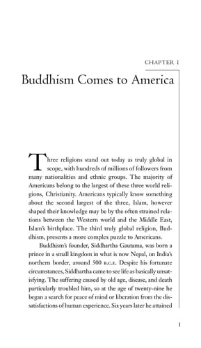 Buddhists, Hindus, and Sikhs in America: A Short History (Religion in American Life)