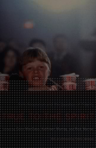 True to the Spirit: Film Adaptation and the Question of Fidelity