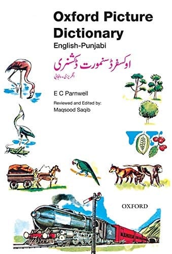 Oxford English Picture Dictionary (English and Punjabi Edition)