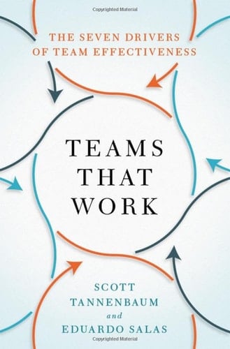 Teams That Work: The Seven Drivers of Team Effectiveness