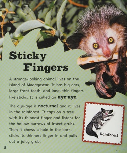 Oxford Reading Tree Infact: Level 9: Big Ears and Sticky Fingers