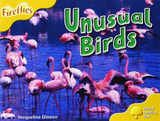 Oxford Reading Tree: Stage 5: More Fireflies A: Unusual Birds