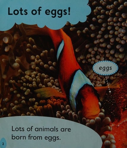 Eggs