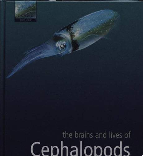 The Brains and Lives of Cephalopods