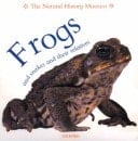 Frogs & Snakes & Their Relatives