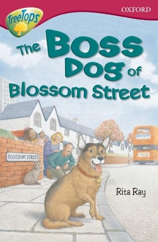 Oxford Reading Tree Level 10. Treetops Fiction: Pack of 6 (Spanish Edition)