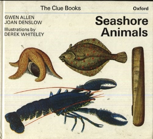 Clue Books: Seashore Animals