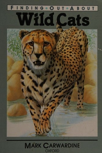 Oxford Reading Tree: Stage 11: Branch Library Pack B (Oxford Reading Tree)