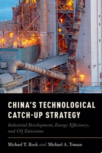China's Technological Catch-Up Strategy: Industrial Development, Energy Efficiency, and CO2 Emissions