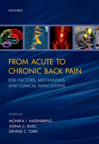 From Acute to Chronic Back Pain: Risk Factors, Mechanisms, and Clinical Implications