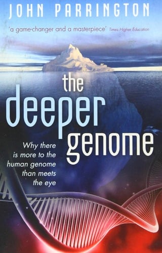 The Deeper Genome: Why there is more to the human genome than meets the eye