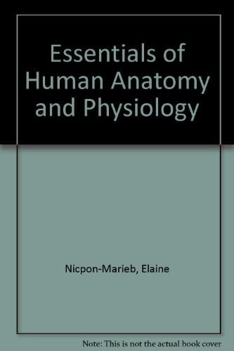 Essentials of Human Anatomy and Physiology