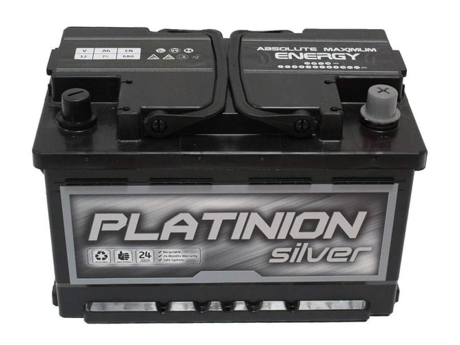 Divine Amer Past & Present Vol 2, Roberts American Experiences V2