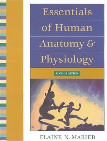 Essentials of Human Anatomy and Physiology