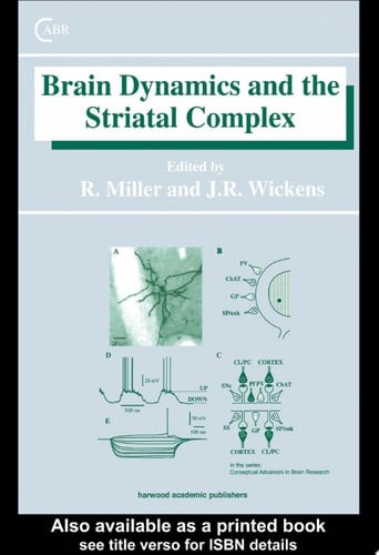 Brain Dynamics And The Striatal Complex