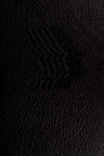 Handbook of Cross-Cultural Psychology: Perspectives Vol 1 (1st Volume of a 6 Volume Set)