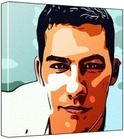 Wealth and Power in World History, Volume 2