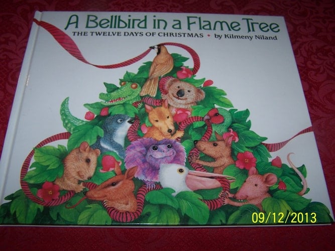 A bellbird in a flame tree