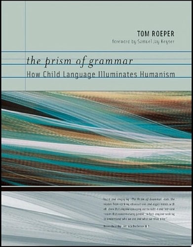 The Prism of Grammar