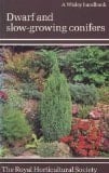 Dwarf and Slow-growing Conifers