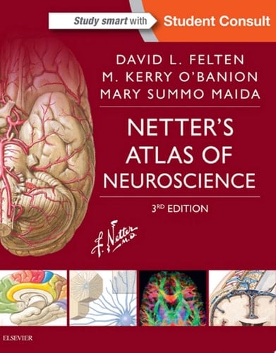 Netter's Atlas of Neuroscience E-Book Netter's Atlas of Neuroscience E-Book