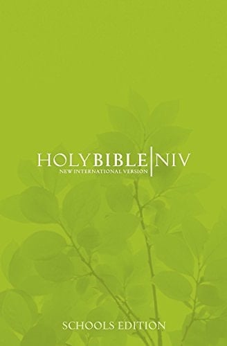 NIV Schools Bible