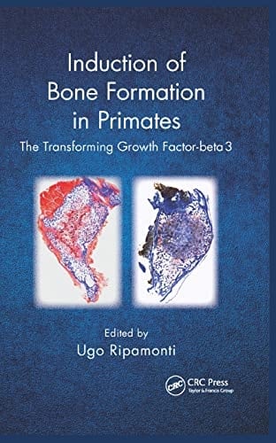 Induction of Bone Formation in Primates The Transforming Growth Factor-Beta 3