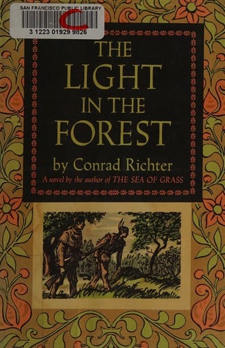 The light in the forest