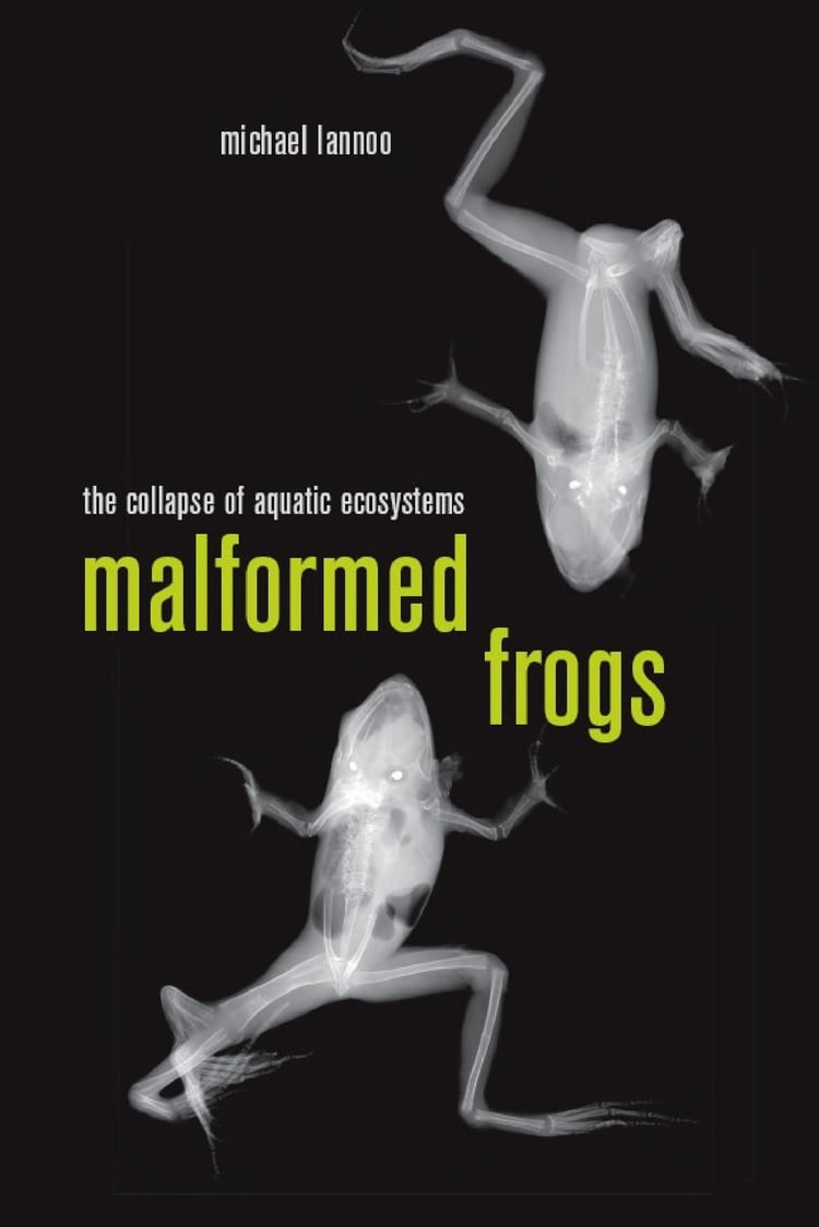 Malformed Frogs: The Collapse of Aquatic Ecosystems