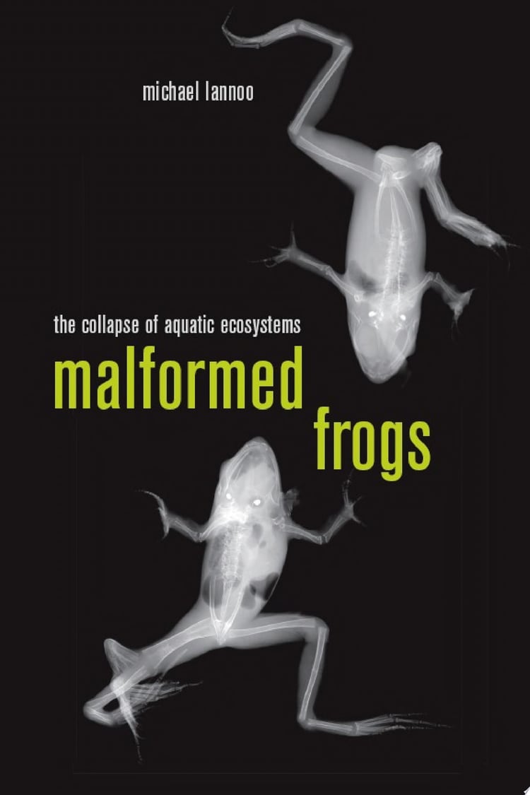 Malformed Frogs