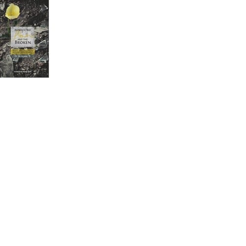 Between the Flowers and the Broken Stories, Songs and Lessons from the Streets of Brazil