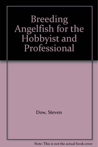 Breeding Angelfish