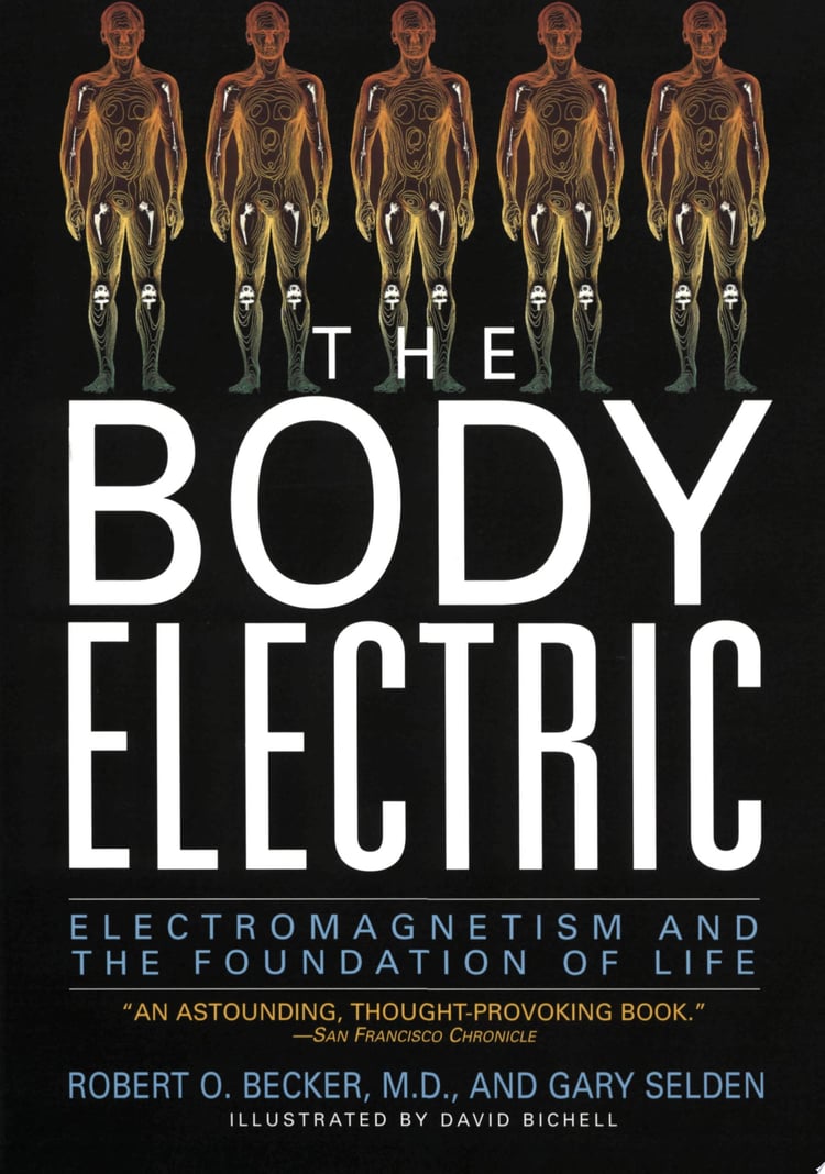 The Body Electric Electromagnetism And The Foundation Of Life