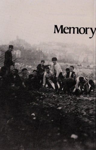 Memory and Enthusiasm: Essays, 1975-1985