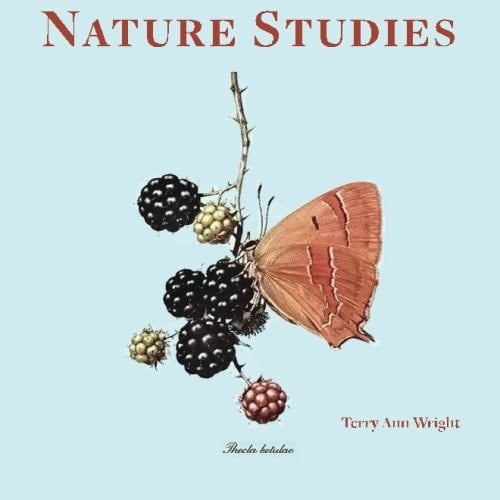 Nature Studies