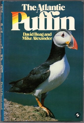 The Atlantic Puffin