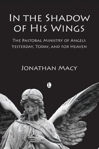 In the Shadow of his Wings The Pastoral Ministry of Angels: Yesterday, Today, and for Heaven