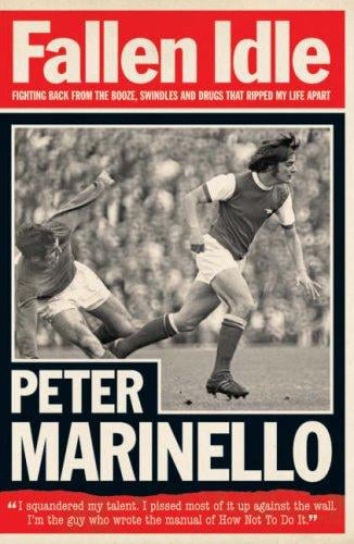 Fallen idle: fighting back from the booze, swindles and drugs that ripped my life apart