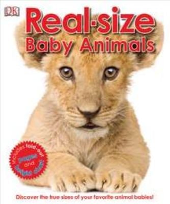 Realsize Baby Animals Discover The True Sizes Of Your Favorite Animal Babies