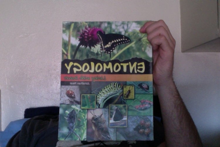 Entomology Living with Insects