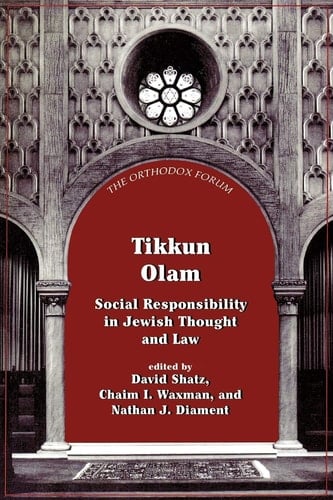 Tikkun Olam: Social Responsibility in Jewish Thought and Law (The Orthodox Forum Series)